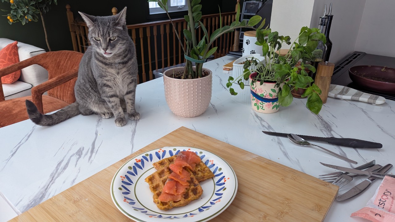 Bhajis au poulet