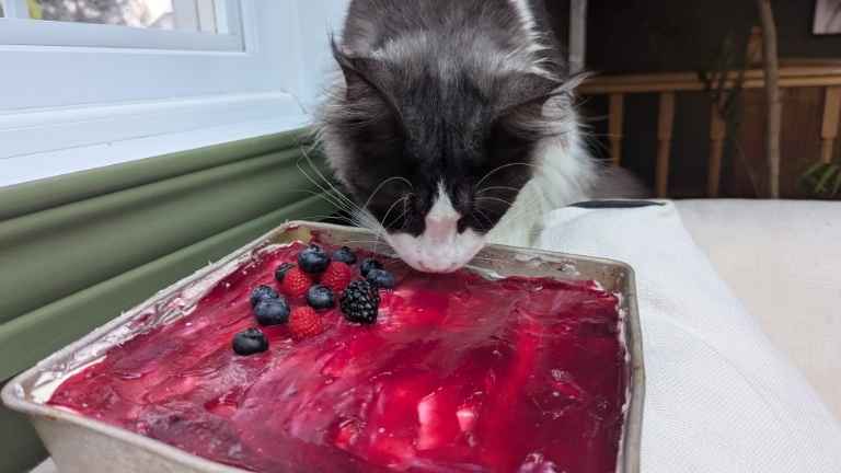 Cheesecake à la framboise