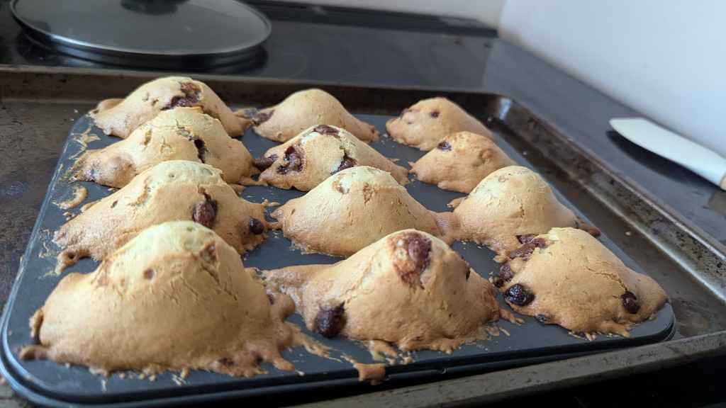 Madeleines aux pépites de chocolat (x15)